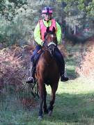 Image 74 in ANGLIAN DISTANCE RIDERS. BRANDON. 28TH OCTOBER 2018.