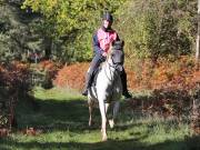 Image 75 in ANGLIAN DISTANCE RIDERS. BRANDON. 28TH OCTOBER 2018.