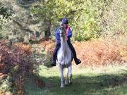 Image 78 in ANGLIAN DISTANCE RIDERS. BRANDON. 28TH OCTOBER 2018.