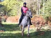 Image 79 in ANGLIAN DISTANCE RIDERS. BRANDON. 28TH OCTOBER 2018.