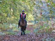 Image 8 in ANGLIAN DISTANCE RIDERS. BRANDON. 28TH OCTOBER 2018.