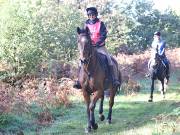 Image 83 in ANGLIAN DISTANCE RIDERS. BRANDON. 28TH OCTOBER 2018.