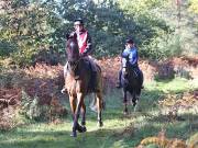 Image 84 in ANGLIAN DISTANCE RIDERS. BRANDON. 28TH OCTOBER 2018.