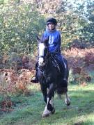 Image 85 in ANGLIAN DISTANCE RIDERS. BRANDON. 28TH OCTOBER 2018.