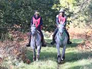 Image 87 in ANGLIAN DISTANCE RIDERS. BRANDON. 28TH OCTOBER 2018.