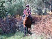 Image 88 in ANGLIAN DISTANCE RIDERS. BRANDON. 28TH OCTOBER 2018.