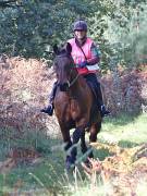 Image 89 in ANGLIAN DISTANCE RIDERS. BRANDON. 28TH OCTOBER 2018.