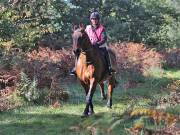 Image 91 in ANGLIAN DISTANCE RIDERS. BRANDON. 28TH OCTOBER 2018.