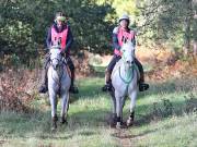 Image 97 in ANGLIAN DISTANCE RIDERS. BRANDON. 28TH OCTOBER 2018.