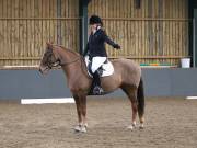 Image 115 in BECCLES AND BUNGAY RIDING CLUB. DRESSAGE.4TH. NOVEMBER 2018