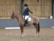 Image 116 in BECCLES AND BUNGAY RIDING CLUB. DRESSAGE.4TH. NOVEMBER 2018