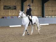 Image 118 in BECCLES AND BUNGAY RIDING CLUB. DRESSAGE.4TH. NOVEMBER 2018