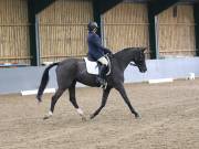 Image 122 in BECCLES AND BUNGAY RIDING CLUB. DRESSAGE.4TH. NOVEMBER 2018