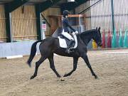 Image 125 in BECCLES AND BUNGAY RIDING CLUB. DRESSAGE.4TH. NOVEMBER 2018