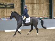 Image 134 in BECCLES AND BUNGAY RIDING CLUB. DRESSAGE.4TH. NOVEMBER 2018