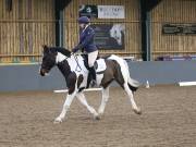 Image 140 in BECCLES AND BUNGAY RIDING CLUB. DRESSAGE.4TH. NOVEMBER 2018