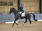 Image 143 in BECCLES AND BUNGAY RIDING CLUB. DRESSAGE.4TH. NOVEMBER 2018