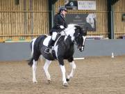 Image 149 in BECCLES AND BUNGAY RIDING CLUB. DRESSAGE.4TH. NOVEMBER 2018