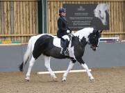 Image 151 in BECCLES AND BUNGAY RIDING CLUB. DRESSAGE.4TH. NOVEMBER 2018