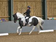 Image 153 in BECCLES AND BUNGAY RIDING CLUB. DRESSAGE.4TH. NOVEMBER 2018