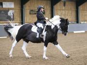 Image 156 in BECCLES AND BUNGAY RIDING CLUB. DRESSAGE.4TH. NOVEMBER 2018