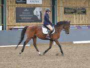Image 185 in BECCLES AND BUNGAY RIDING CLUB. DRESSAGE.4TH. NOVEMBER 2018