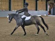 Image 186 in BECCLES AND BUNGAY RIDING CLUB. DRESSAGE.4TH. NOVEMBER 2018