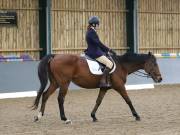 Image 187 in BECCLES AND BUNGAY RIDING CLUB. DRESSAGE.4TH. NOVEMBER 2018