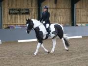 Image 188 in BECCLES AND BUNGAY RIDING CLUB. DRESSAGE.4TH. NOVEMBER 2018