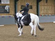 Image 190 in BECCLES AND BUNGAY RIDING CLUB. DRESSAGE.4TH. NOVEMBER 2018