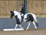 Image 194 in BECCLES AND BUNGAY RIDING CLUB. DRESSAGE.4TH. NOVEMBER 2018