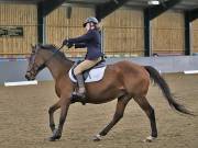 Image 196 in BECCLES AND BUNGAY RIDING CLUB. DRESSAGE.4TH. NOVEMBER 2018