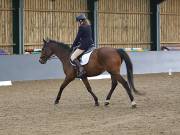 Image 198 in BECCLES AND BUNGAY RIDING CLUB. DRESSAGE.4TH. NOVEMBER 2018