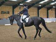 Image 203 in BECCLES AND BUNGAY RIDING CLUB. DRESSAGE.4TH. NOVEMBER 2018