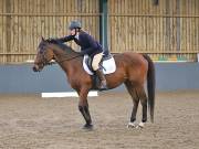 Image 204 in BECCLES AND BUNGAY RIDING CLUB. DRESSAGE.4TH. NOVEMBER 2018