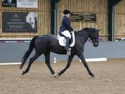 Image 205 in BECCLES AND BUNGAY RIDING CLUB. DRESSAGE.4TH. NOVEMBER 2018