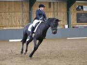 Image 206 in BECCLES AND BUNGAY RIDING CLUB. DRESSAGE.4TH. NOVEMBER 2018