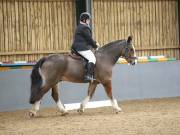Image 37 in BECCLES AND BUNGAY RIDING CLUB. DRESSAGE.4TH. NOVEMBER 2018