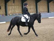 Image 50 in BECCLES AND BUNGAY RIDING CLUB. DRESSAGE.4TH. NOVEMBER 2018