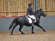 Image 56 in BECCLES AND BUNGAY RIDING CLUB. DRESSAGE.4TH. NOVEMBER 2018