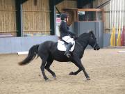 Image 59 in BECCLES AND BUNGAY RIDING CLUB. DRESSAGE.4TH. NOVEMBER 2018