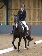 Image 65 in BECCLES AND BUNGAY RIDING CLUB. DRESSAGE.4TH. NOVEMBER 2018