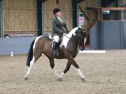 Image 73 in BECCLES AND BUNGAY RIDING CLUB. DRESSAGE.4TH. NOVEMBER 2018