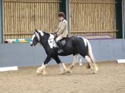 Image 76 in BECCLES AND BUNGAY RIDING CLUB. DRESSAGE.4TH. NOVEMBER 2018