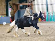 Image 81 in BECCLES AND BUNGAY RIDING CLUB. DRESSAGE.4TH. NOVEMBER 2018
