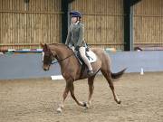 Image 90 in BECCLES AND BUNGAY RIDING CLUB. DRESSAGE.4TH. NOVEMBER 2018