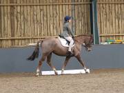 Image 91 in BECCLES AND BUNGAY RIDING CLUB. DRESSAGE.4TH. NOVEMBER 2018
