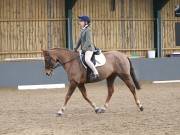Image 92 in BECCLES AND BUNGAY RIDING CLUB. DRESSAGE.4TH. NOVEMBER 2018