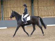 Image 99 in BECCLES AND BUNGAY RIDING CLUB. DRESSAGE.4TH. NOVEMBER 2018