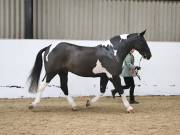 Image 129 in BROADS EQUESTRIAN CENTRE. 10TH NOVEMBER 2018